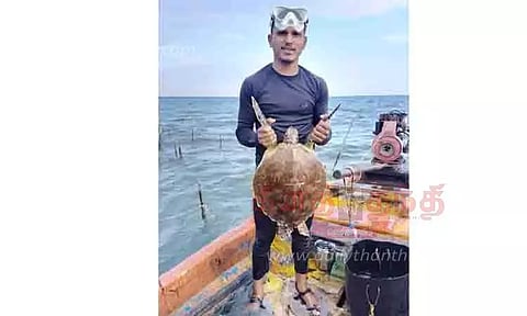 மீனவர் வலையில் சிக்கிய ராட்சத ஆமை