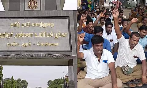 வண்டலூர் உயிரியல் பூங்காவில் ஒப்பந்த ஊழியர்கள் 3-வது நாளாக உள்ளிருப்பு போராட்டம்