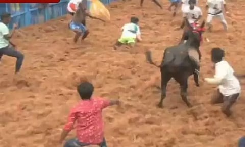 தச்சங்குறிச்சி ஜல்லிக்கட்டு - இரண்டாம் சுற்று நிறைவில் இதுவரை 20 பேருக்கு காயம்