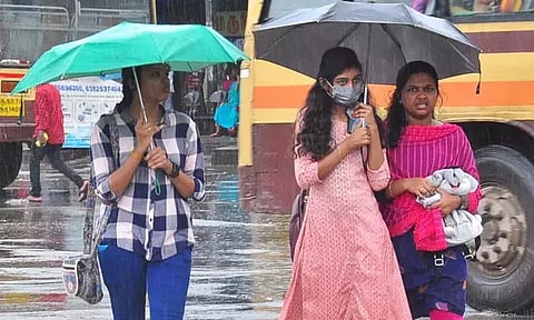 தென்தமிழக கடலோர மாவட்டங்களில் இன்று மிதமான மழைக்கு வாய்ப்பு...!