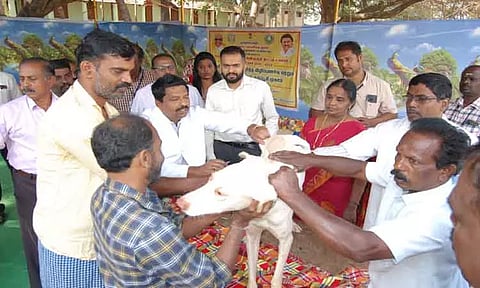 வெறிநாய் தடுப்பூசி முகாம்