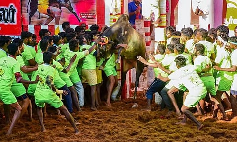 அலங்காநல்லூர் ஜல்லிக்கட்டு - வெளிநாட்டு சுற்றுலா பயணிகளுக்கு அழைப்பு