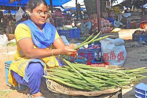 ஈரோட்டில் முருங்கைக்காய் விலை கிடுகிடு உயர்வு; ஒரு கிலோ ரூ.150-க்கு விற்பனை