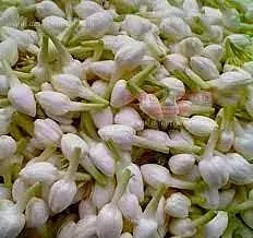 வேலூரில், மல்லிகை பூ ரூ.2 ஆயிரம் வரை விற்பனை