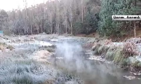 கொடைக்கானலில் உறைபனியின் தாக்கம் தொடர்ந்து அதிகரிப்பு - வெப்பநிலை 6 டிகிரியாக குறைவு