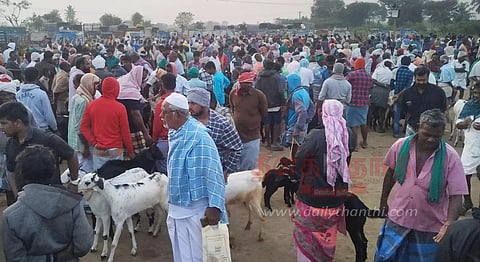 சிறுவாச்சூர் சந்தையில் ஆடுகள் விற்பனை அமோகம்
