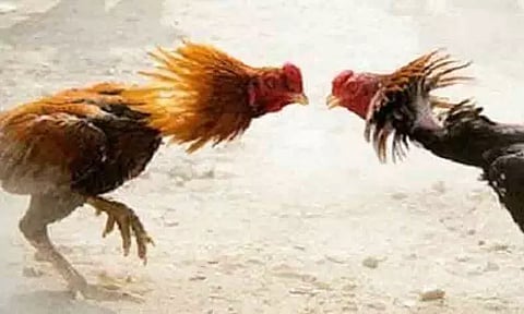 கோப்புப்படம்