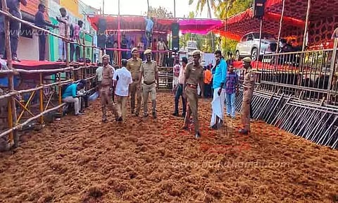 1,000 காளைகள், மாடுபிடி வீரர்கள் தயார்