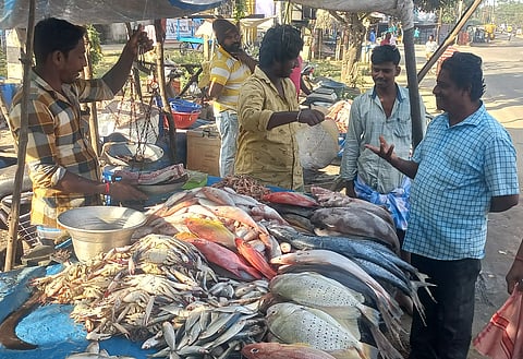 மீன்கள் விலை கிடு,கிடு உயர்வு
