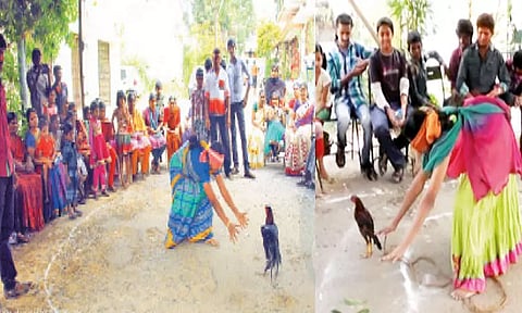 சேவல் ஜல்லிக்கட்டு