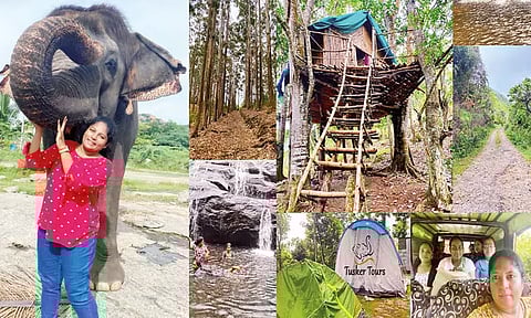 இயற்கையைத் தேடும் வனச் சுற்றுலா..!