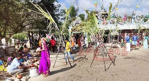 பொங்கல் பண்டிகை கோலாகலம்