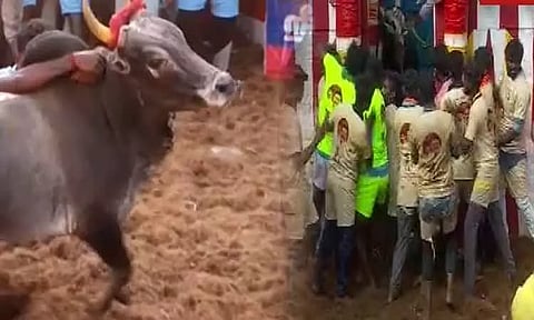 உலகப்புகழ் பெற்ற மதுரை அலங்காநல்லூர் ஜல்லிக்கட்டு நிறைவு