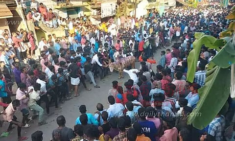 காளை விடும் திருவிழா