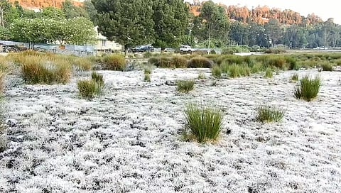 உறைபனியின் ஆக்கிரமிப்பில் கொடைக்கானல்