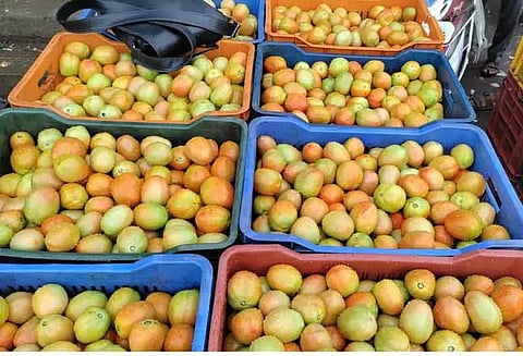 சேலத்தில்ஒரு கிலோ தக்காளி ரூ.40-க்கு விற்பனை