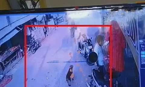 20க்கும் மேற்பட்டோரை கடித்த வெறி நாய்...இரவு முழுவதும் தேடிப்பிடித்த துப்புரவு பணியாளர்கள்