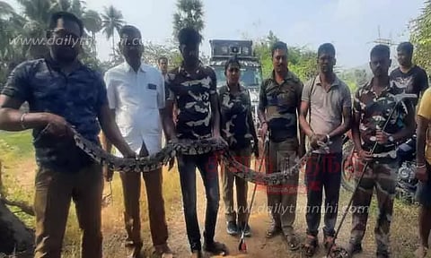 அம்மாபேட்டை அருகேமீன் வலையில் சிக்கிய 6 அடி நீள மலைப்பாம்பு