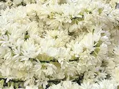 சத்தி மார்க்கெட்டில்முல்லைப்பூ கிலோ ரூ.1,360-க்கு ஏலம்