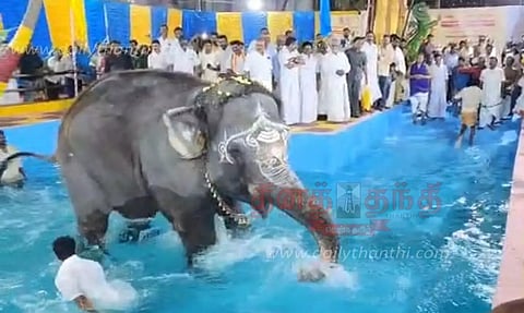 கும்பகோணம் ஆதிகும்பேஸ்வரர் கோவில் யானை மங்களம் ஆனந்த குளியல்