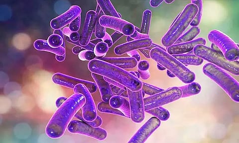 கோப்புப்படம்