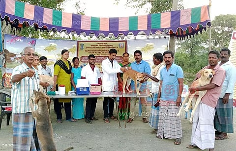 வெறிநோய் தடுப்பூசி முகாம்