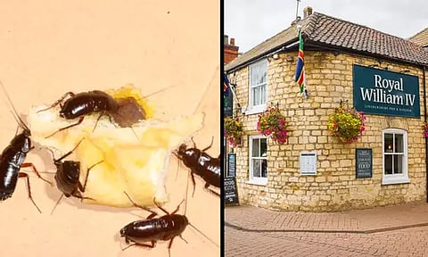 சம்பளம் வழங்காததால் நூதன முறையில் முதலாளியின் உணவு விடுதியை மூட வைத்த தொழிலாளி...!