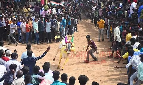 காளை விடும் திருவிழா