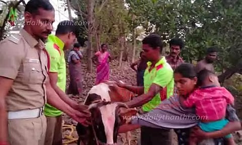 கிணற்றில் தவறி விழுந்த பசுமாடு மீட்பு
