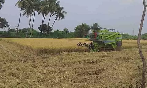 நச்சலூர் பகுதியில் நெல் அறுவடை பணிகள் தீவிரம்