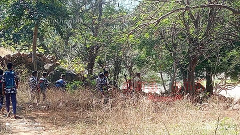 பறவைகள் கணக்கெடுக்கும் பணி தொடங்கியது