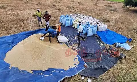 மழை இல்லாமல் நெற்பயிர்கள் கருகியதால் விவசாயிகள் வேதனை