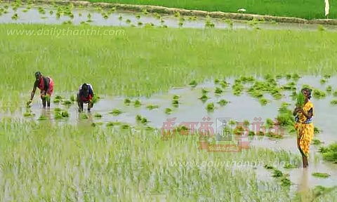 தாமதமாக நெல் விவசாய பணிகள் தொடக்கம்
