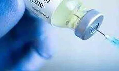 நாய்களுக்கு வெறிநோய் தடுப்பூசி