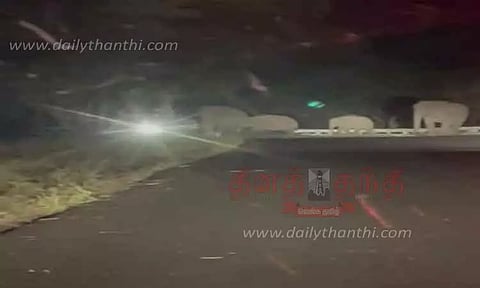 பண்ணாரி அருகேரோட்டை கடந்து சென்ற யானைக்கூட்டம்