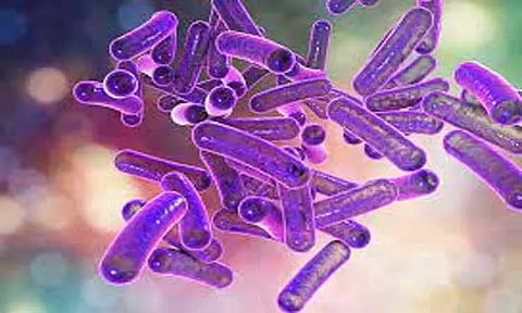 கோப்புப்படம்