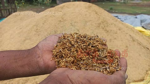 திருவாரூர் மாவட்டத்தில், பருவம் தவறி கொட்டித்தீர்த்தது:மகசூலுக்கு பதில் கண்ணீரை வரவழைத்த மழை