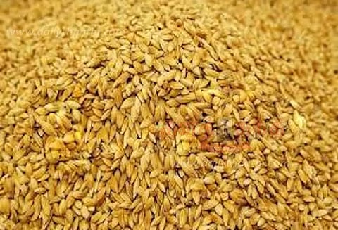 10 கிராமங்களில் நேரடி நெல் கொள்முதல் நிலையங்கள்