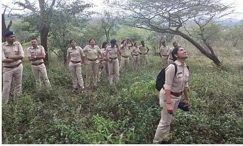 தேவாங்குகள் குறித்த சிறப்பு பயிற்சி