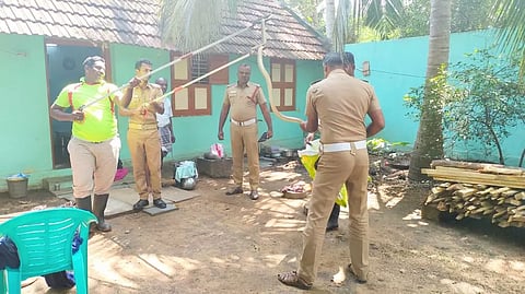 வீட்டிற்குள் புகுந்த பாம்பு பிடிபட்டது