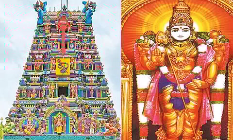 சிறுவாபுரி முருகன் கோவிலில் தைப்பூச திருவிழா