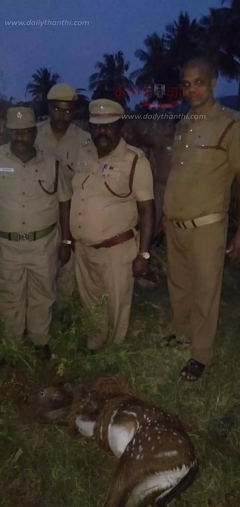 கிணற்றில் தவறிவிழுந்த புள்ளிமான் உயிருடன் மீட்பு