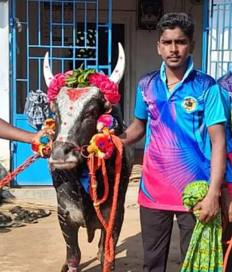 ஜல்லிக்கட்டு வீரர் படுகொலை