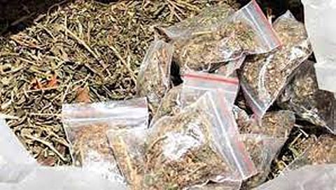 மோட்டார் சைக்கிளில் கடத்திய கஞ்சா பறிமுதல்