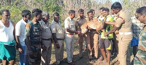 கடமலைக்குண்டு அருகேகிணற்றில் தவறி விழுந்த புள்ளி மான் மீட்பு