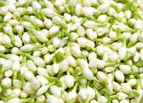 சத்தியமங்கலம் மார்க்கெட்டில் மல்லிகைப்பூ கிலோ ரூ.1,680-க்கு ஏலம்