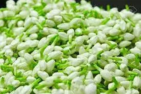 சத்தி மார்க்கெட்டில்மல்லிகைப்பூ கிலோ ரூ.1,837-க்கு ஏலம்