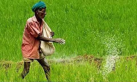 விவசாயிகளுக்கு மானிய விலையில் பொருட்கள் - அதிகாரி தகவல்