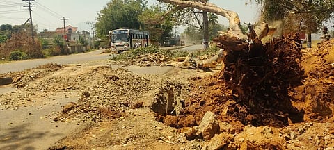 மரங்களை வெட்டி அகற்றும் பணியால்கூட்டுக்குடிநீர் குழாயில் உடைப்பு
