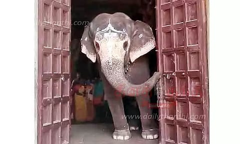 திருவானைக்காவல் கோவில் கதவை தும்பிக்கையால் திறந்த யானை